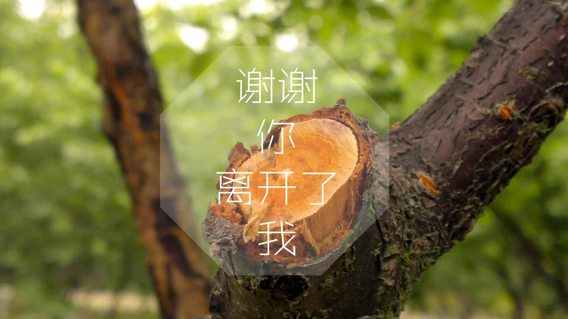 特别采访：巨星场外的故事与人生感悟，看一下巨星