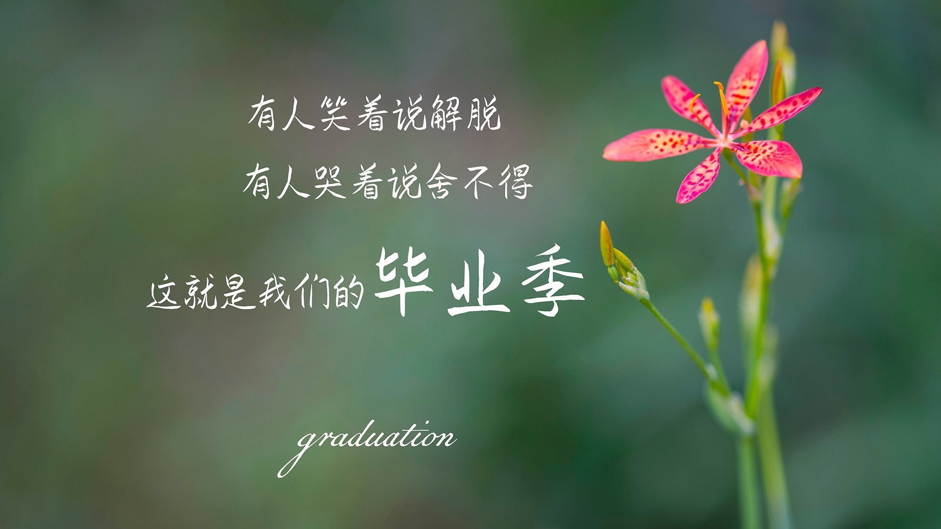 球场外的话题：球员生活点滴分享，球员对球场上所发生的事实问题